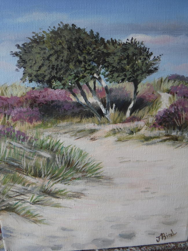 Heather Walk