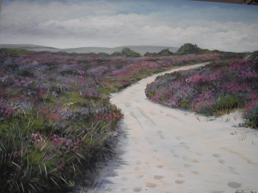 Studland Heath