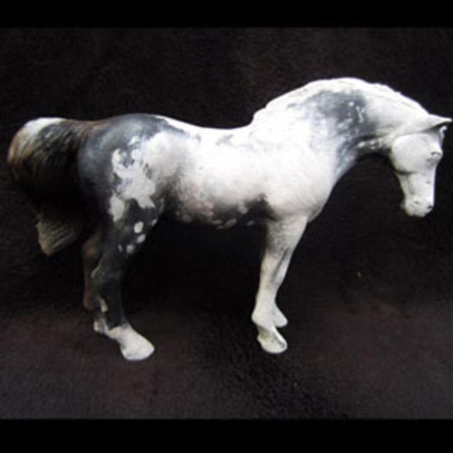 Coloured Horse