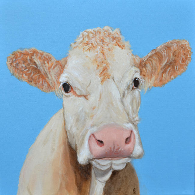 Cow and blue sky 1