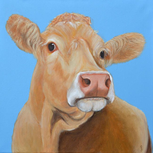 Cow and blue sky 2