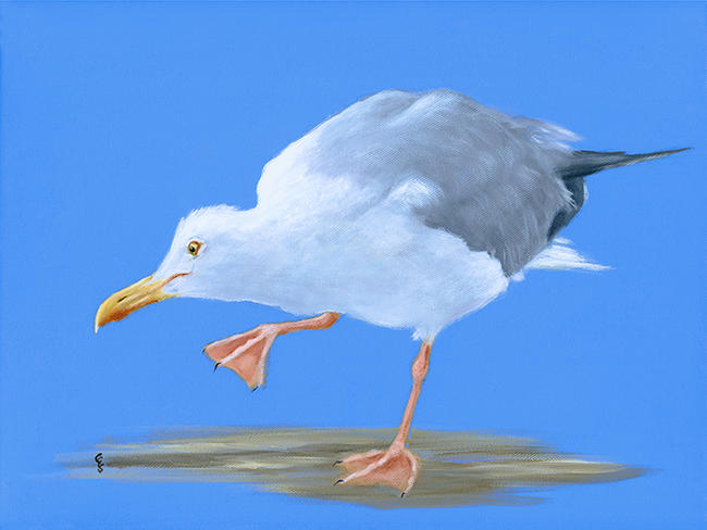 Seagull I Spy
