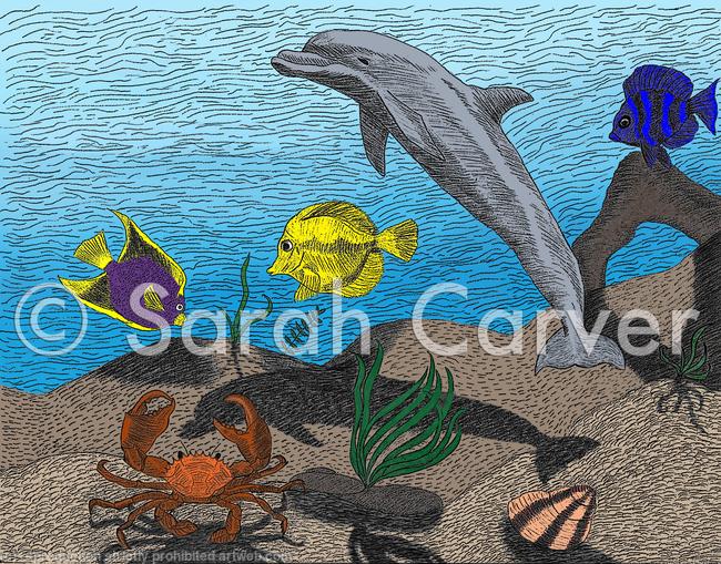 Ocean Floor