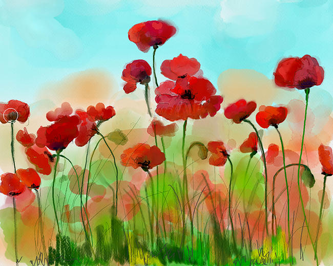 Playful Poppies