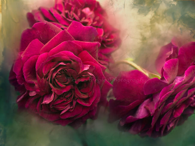 Abundant