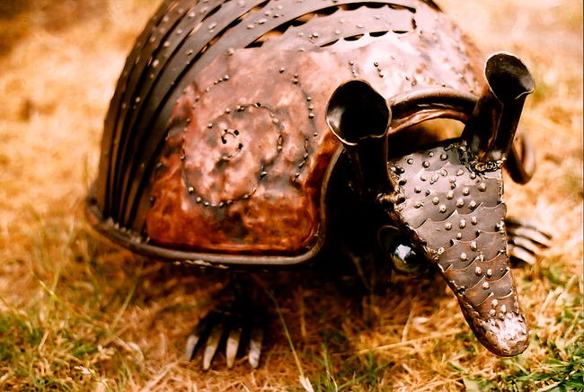 Armadillo
