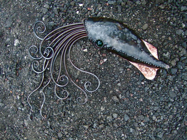 Humbolt Squid