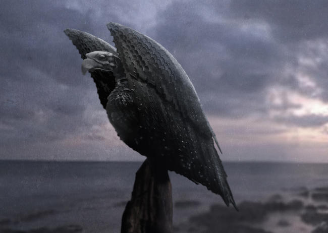 Vulture