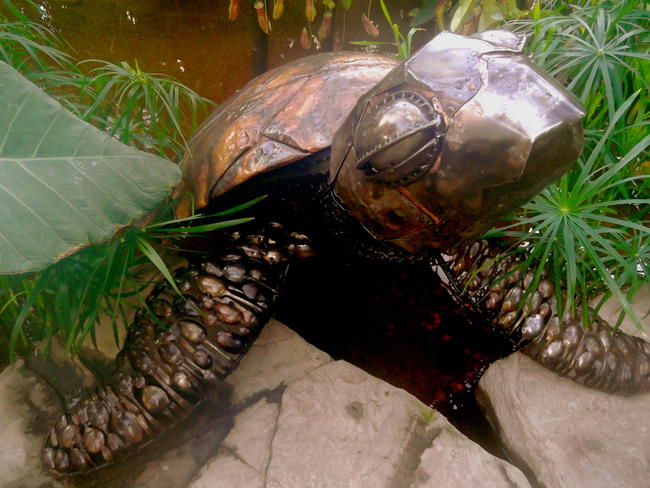 Giant Sea Turtle
