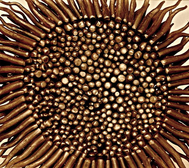 Sunflower Bowl