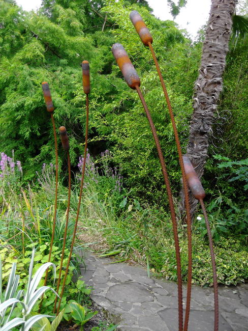 Bullrushes