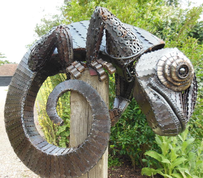 Chameleon