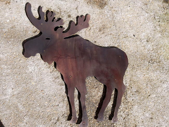 Moose wall piece