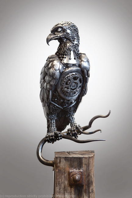 Osprey