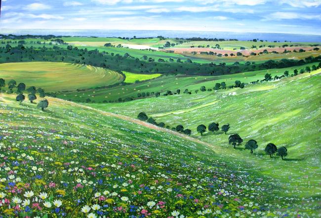 South Downs- 21st/22nd/23rd June