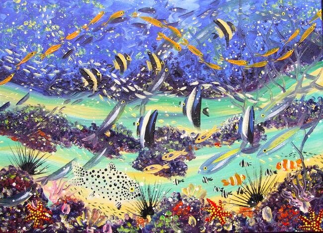 Marine Life - August 15th