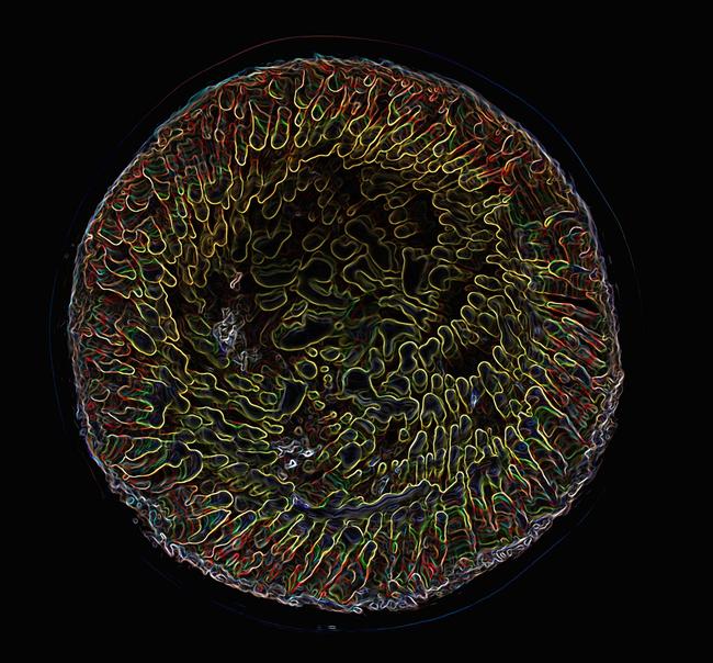 Microscopic Slide III