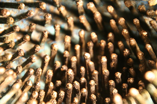 Immortal Cell (detail)