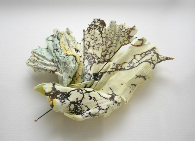 Leaf Litter