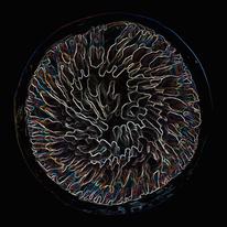 Microscopic Slide I
