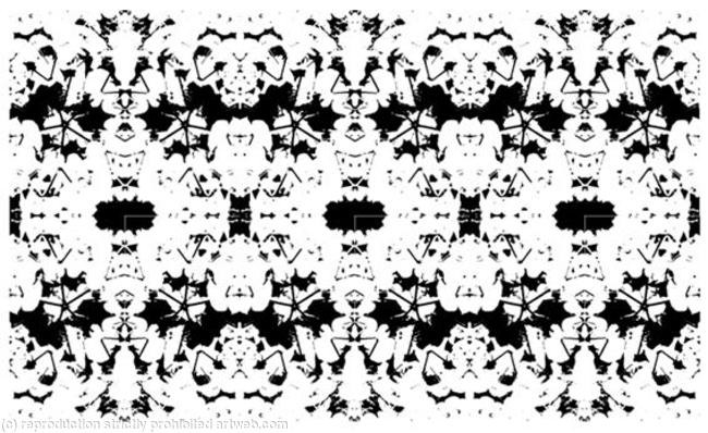 Euphorbia B&W