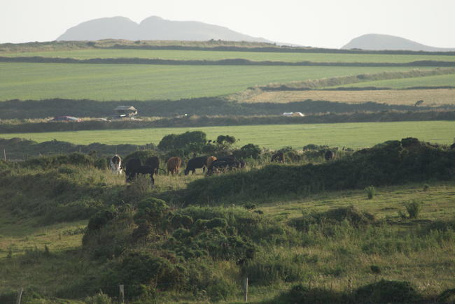 View from St Nons Retreat