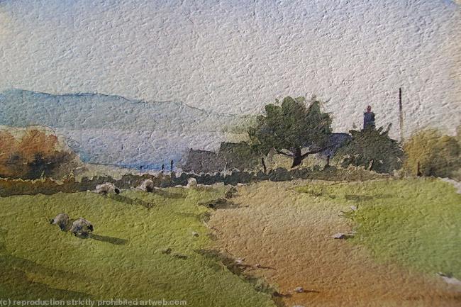 Farm Near Nash Point