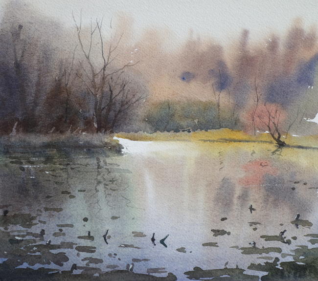 The pond Hensol woods