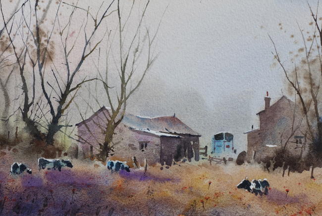 Winter Cows