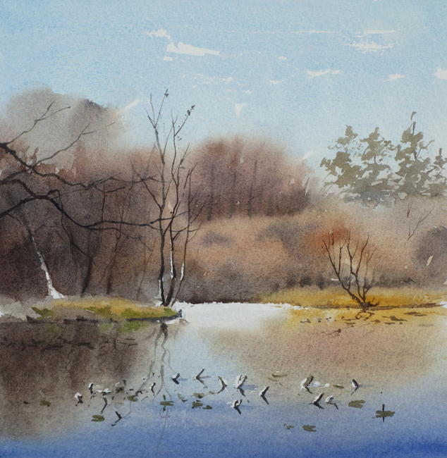 Pond morning 1