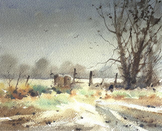 Winter Copse