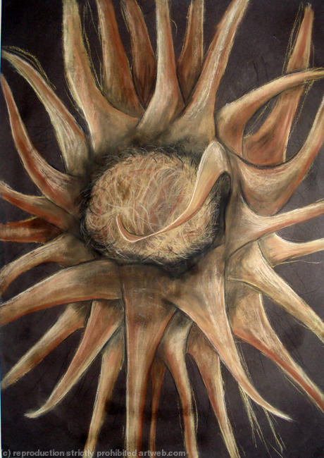 The Thistle - Sold