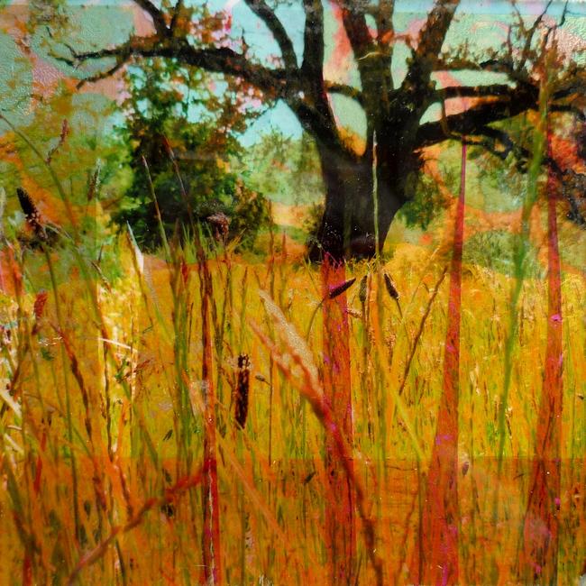 In the Meadow I