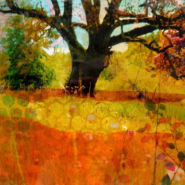 In the Meadow II
