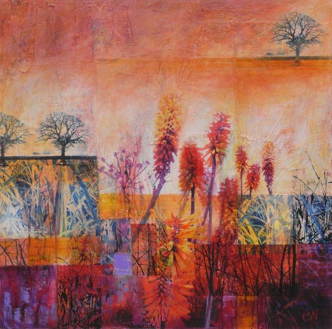 Red Hot Poker
