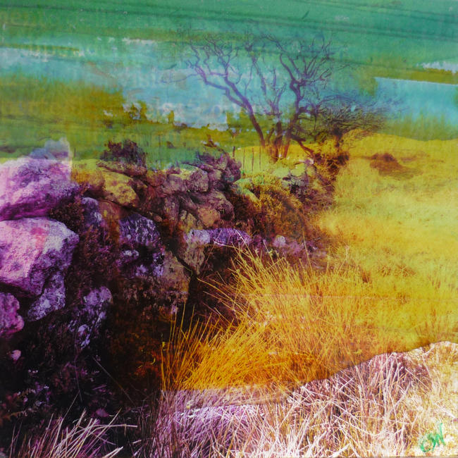 dartmoor-wall