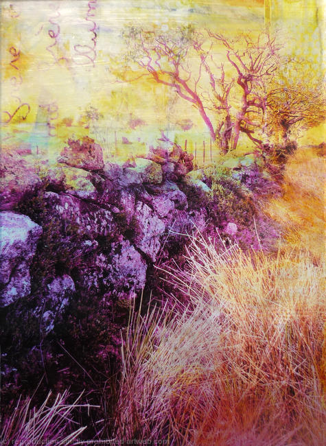 Dartmoor Wall II
