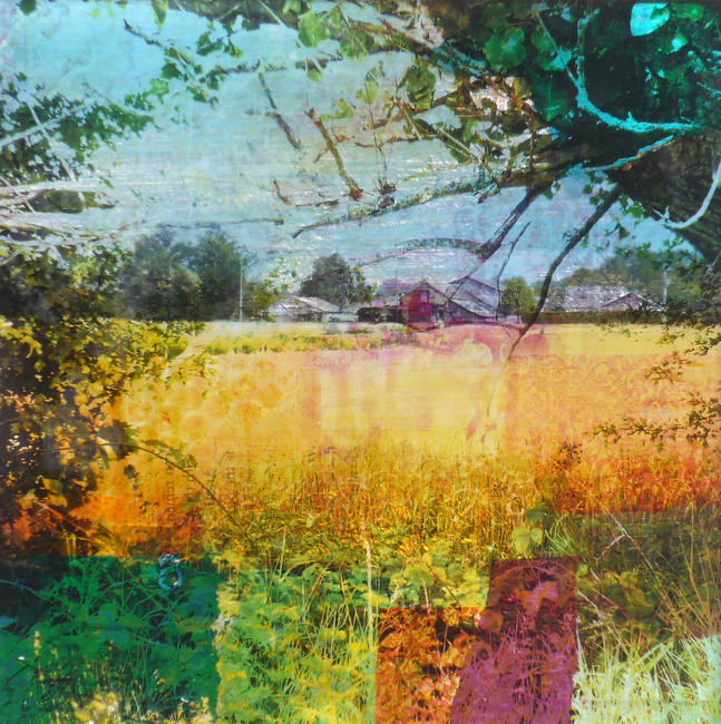 Summer on the Farm