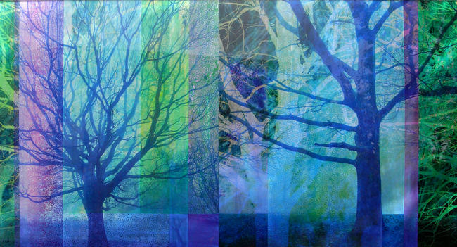 Echoes of the forest