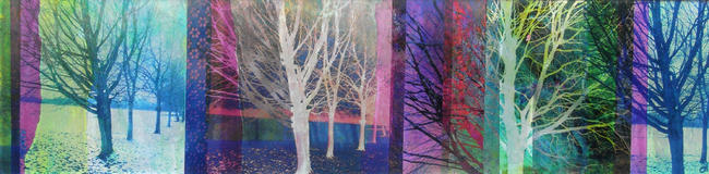 Tree Line