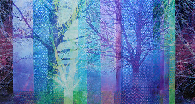 The Enchanted Forest