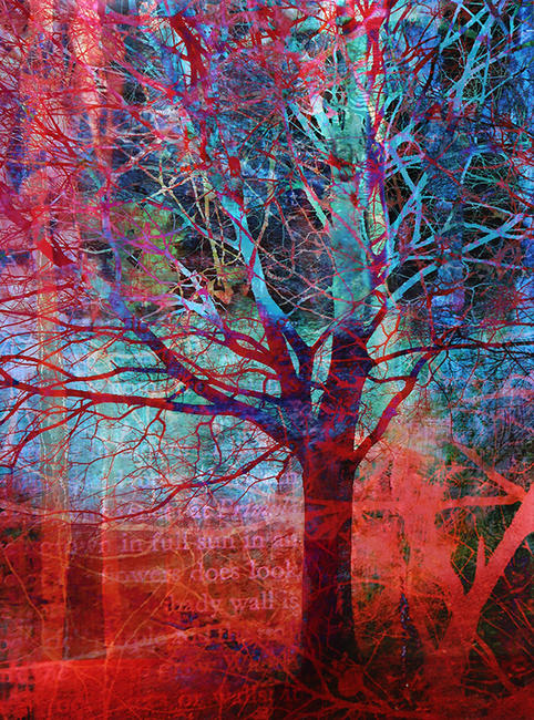 Deep in the Woods