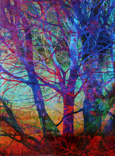 Through the Thicket