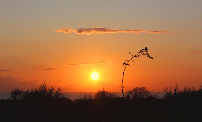 Sunset over Dyke Road Park