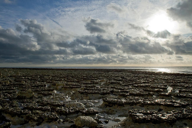 Foreshore at Birling Gap