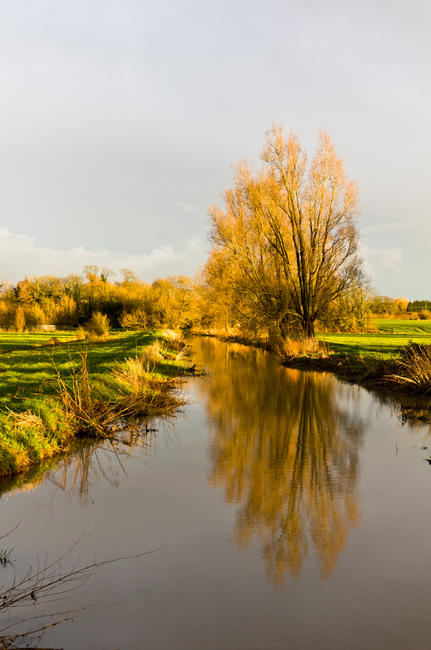 River Ouse at Barcombe MIlls