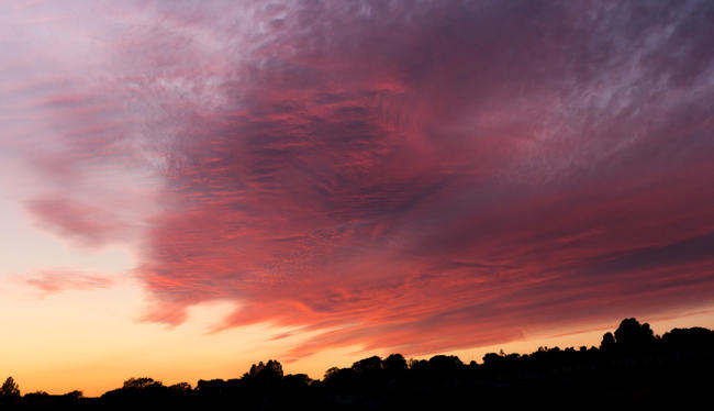 Varndean Evening