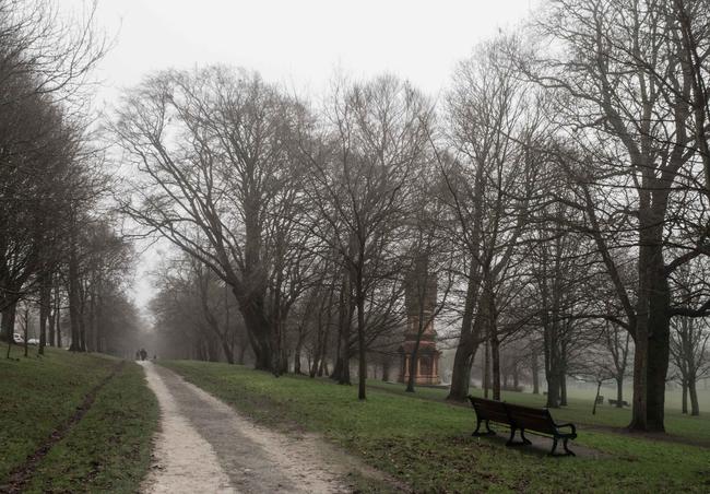 Misty Preston Park, January 2016