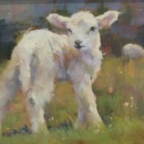 Lambs in the Field