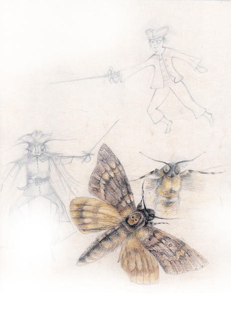 Hawskmoth